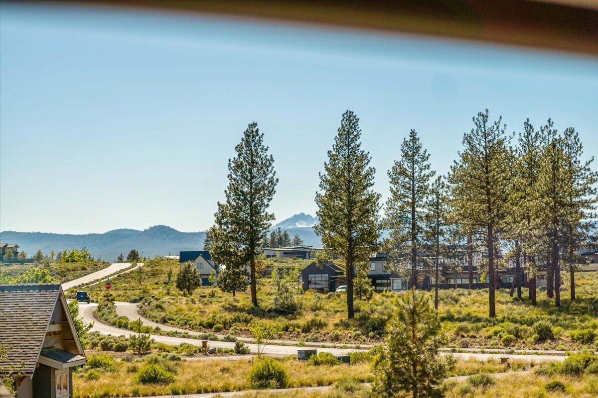 Tree Farm - Residential