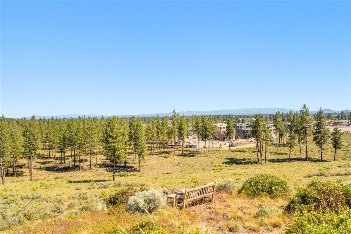 Tree Farm - Residential