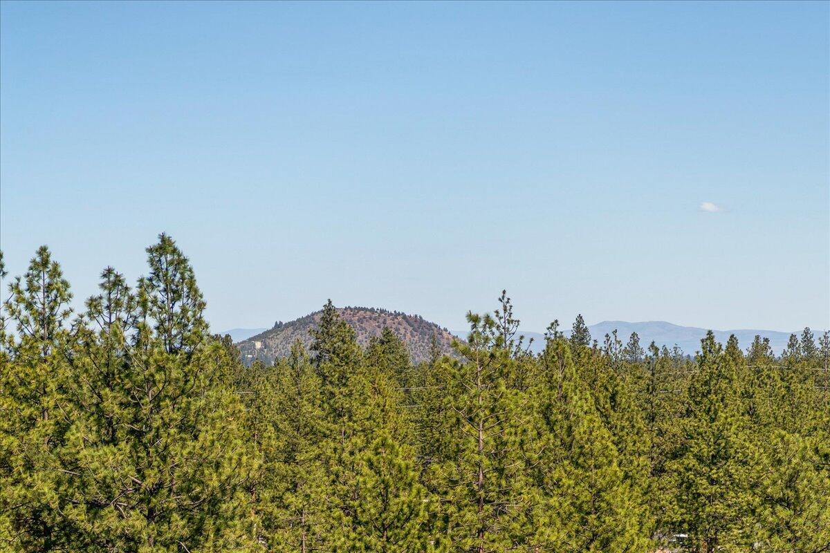 Tree Farm - Residential