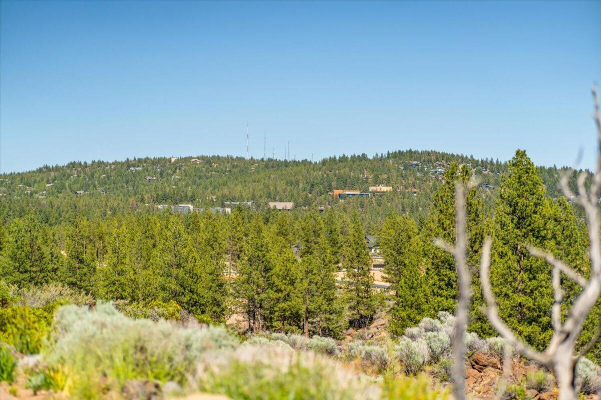 Tree Farm - Residential