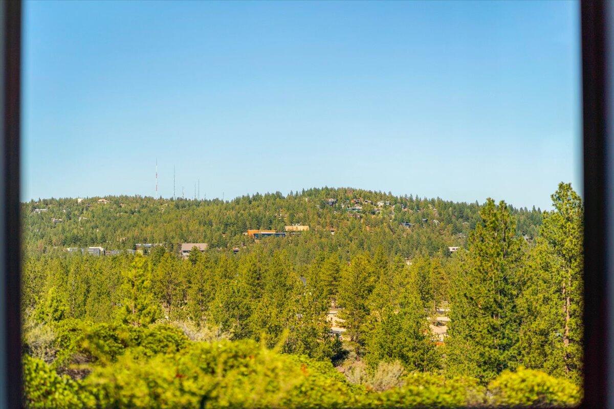 Tree Farm - Residential