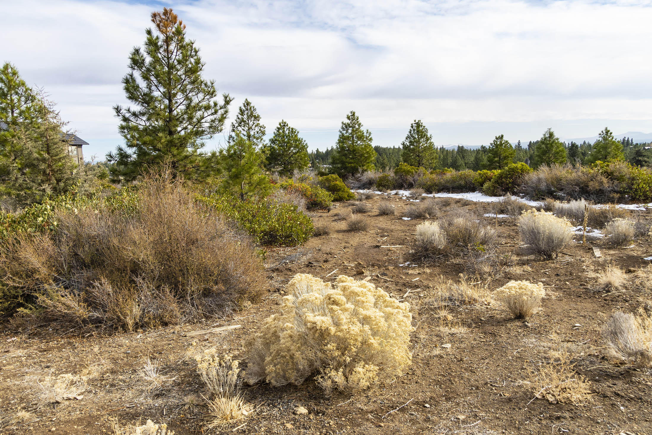 Tetherow - Commercial Sale