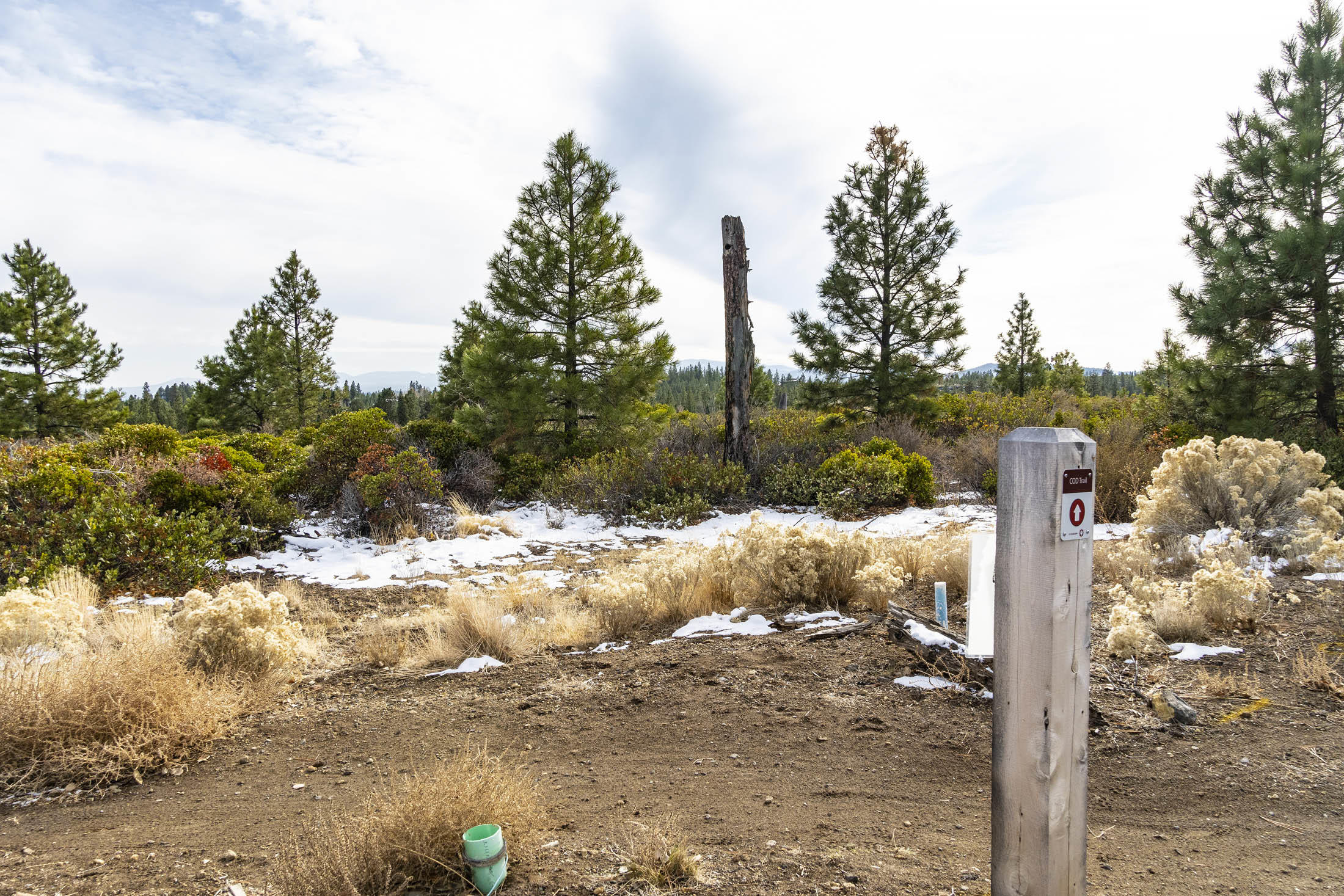 Tetherow - Commercial Sale