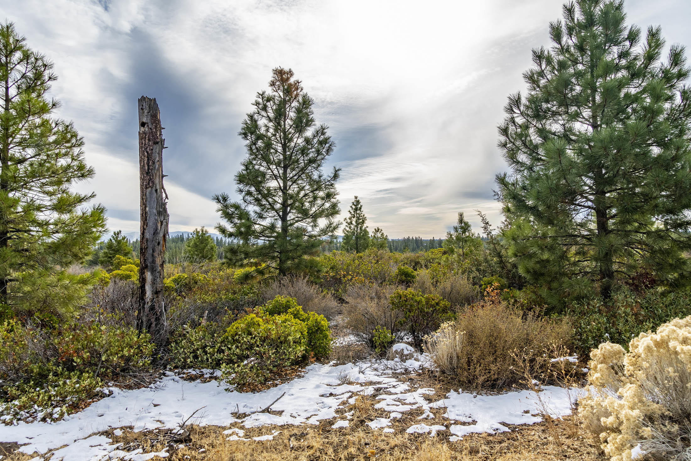 Tetherow - Commercial Sale