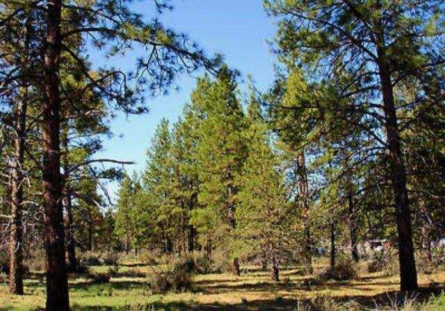 Klamath Falls Forest Estates -Hwy 66 Unit -Plat No. 1 - Land