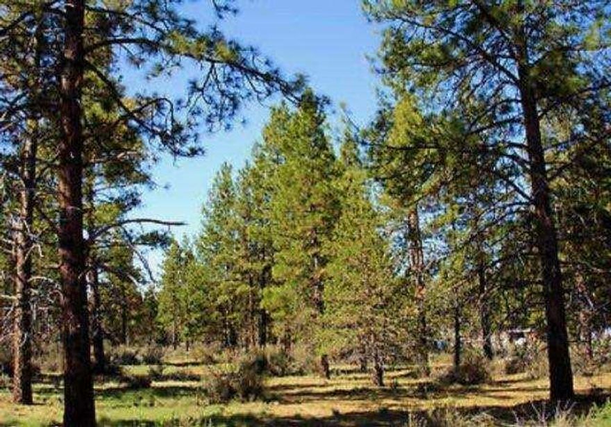 Tree covered parcel just off the paved road, very little through traffic, ideal location for a home or vacation cabin.
