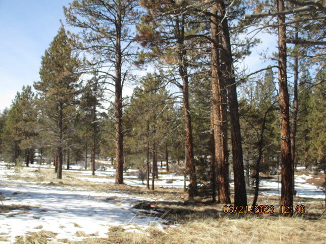 Klamath Falls Forest Estates -Hwy 66 Unit -Plat No. 1 - Land
