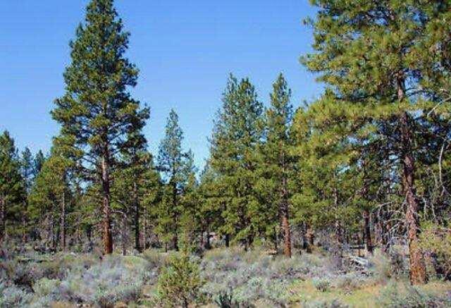 Klamath Falls Forest Estates -Hwy 66 Unit -Plat No. 1 - Land