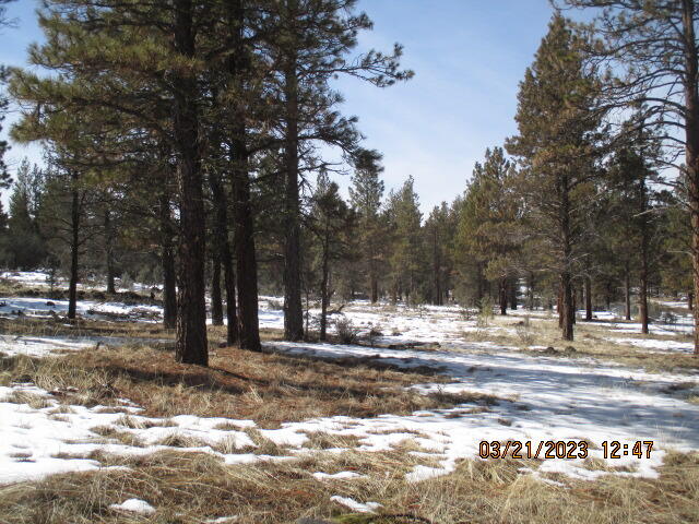 Klamath Falls Forest Estates -Hwy 66 Unit -Plat No. 1 - Land