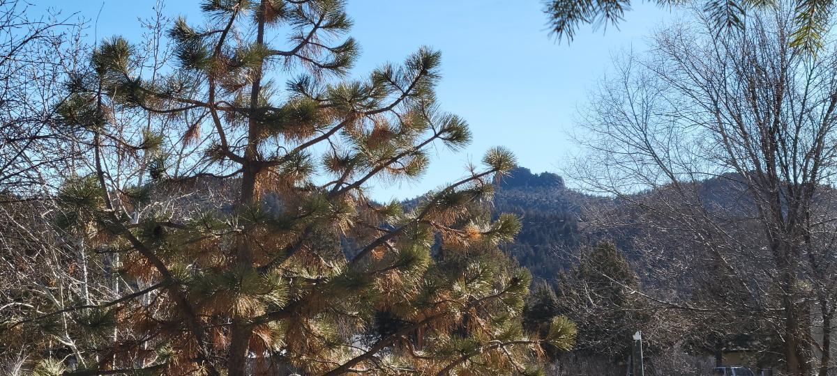 Idleway Acres - Residential