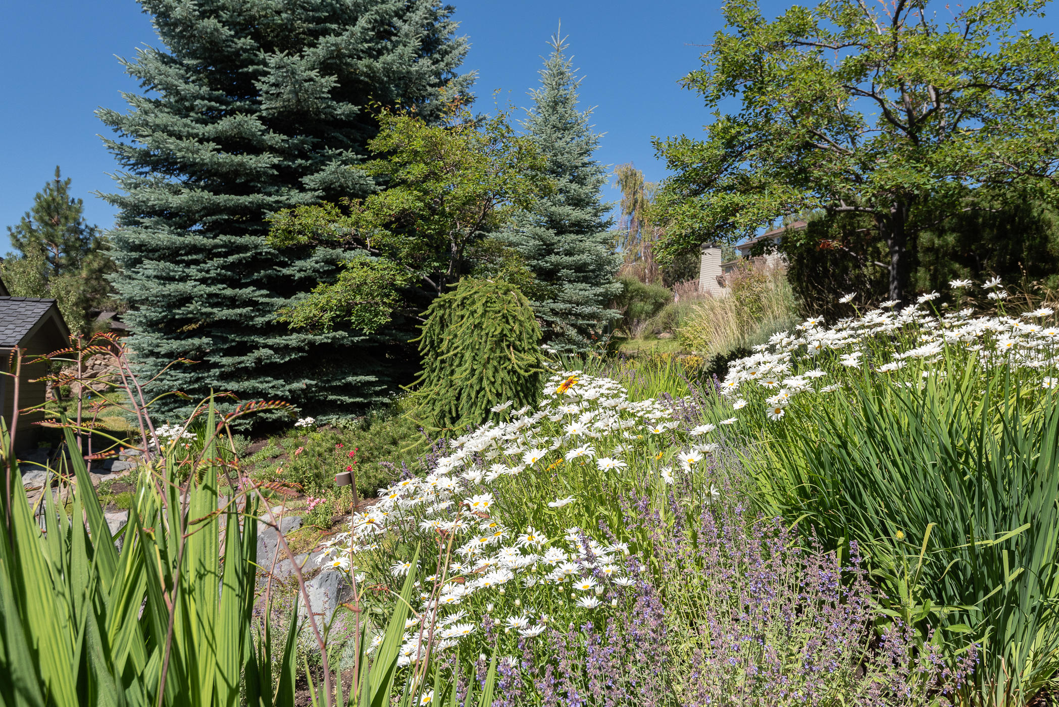 Hillside Park - Residential