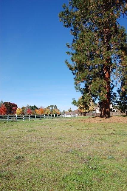 Willow Estates - Land