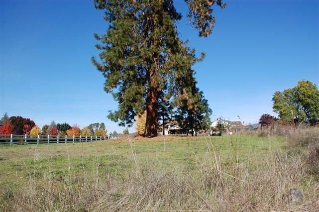 Willow Estates - Land