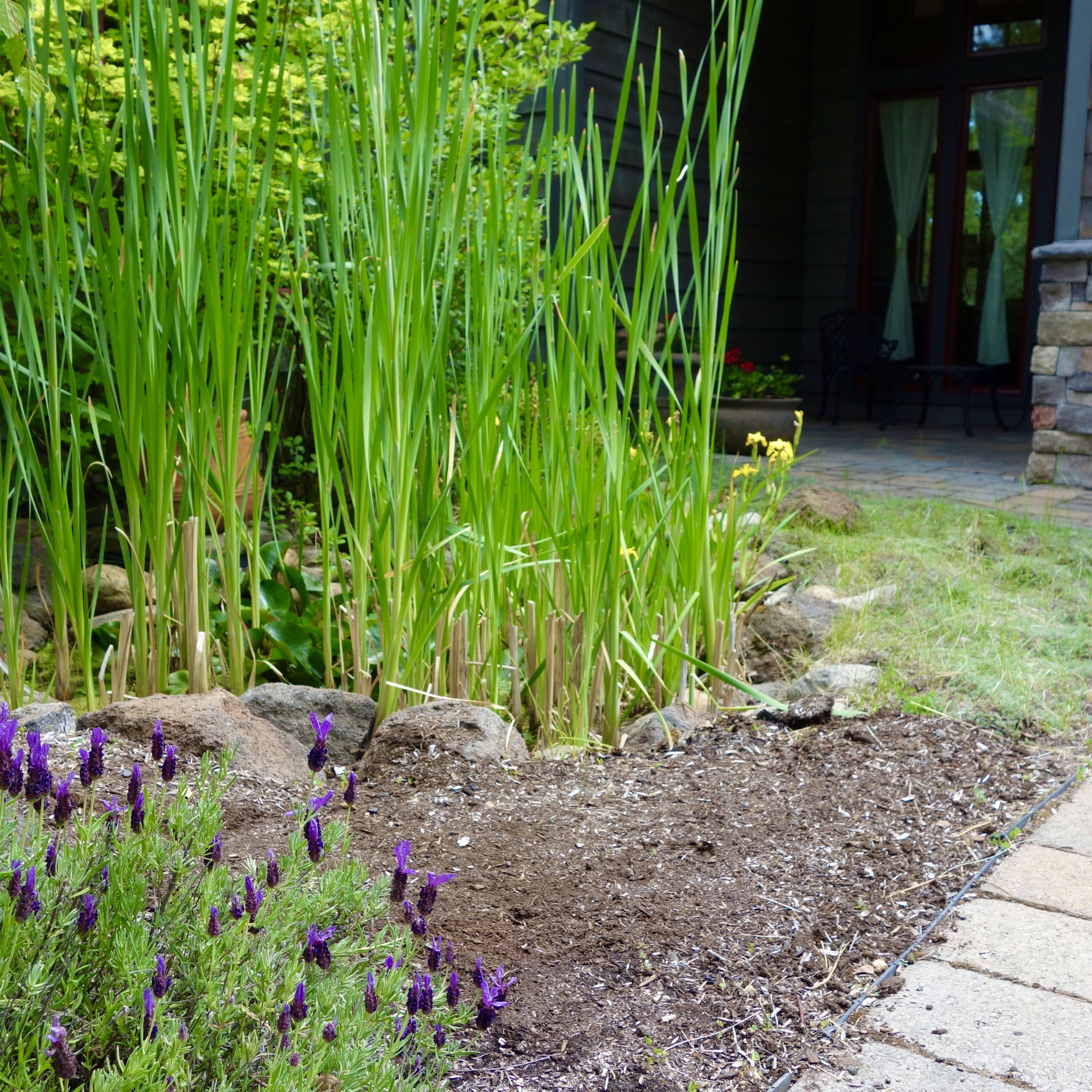 Aspen Lakes Golf Est - Residential