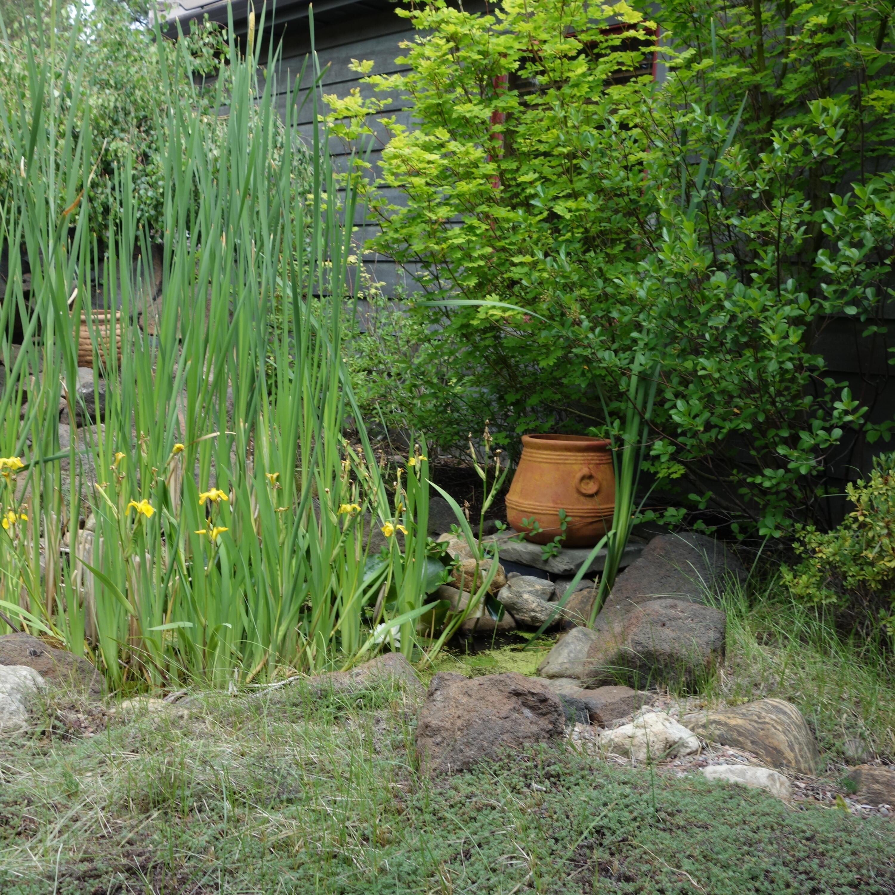 Aspen Lakes Golf Est - Residential