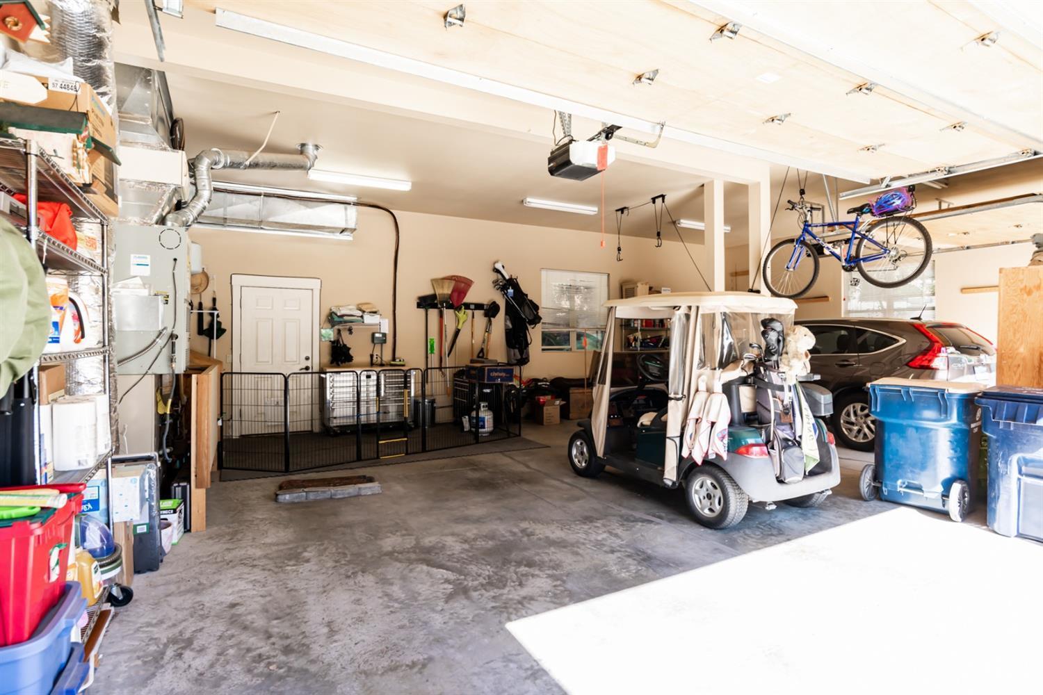 Mountain Pine - Residential