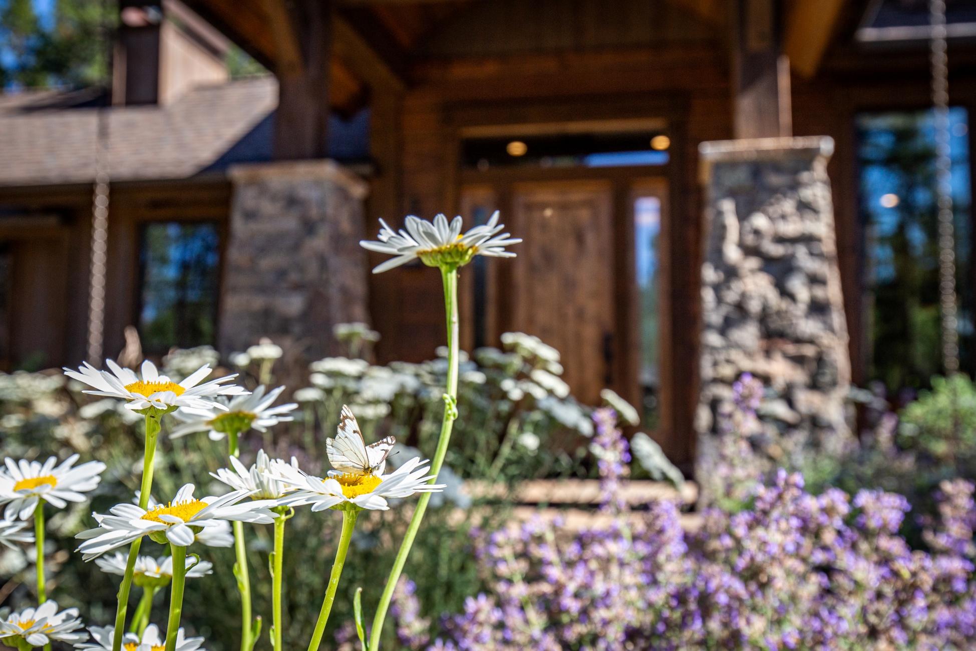 Caldera Springs - Residential