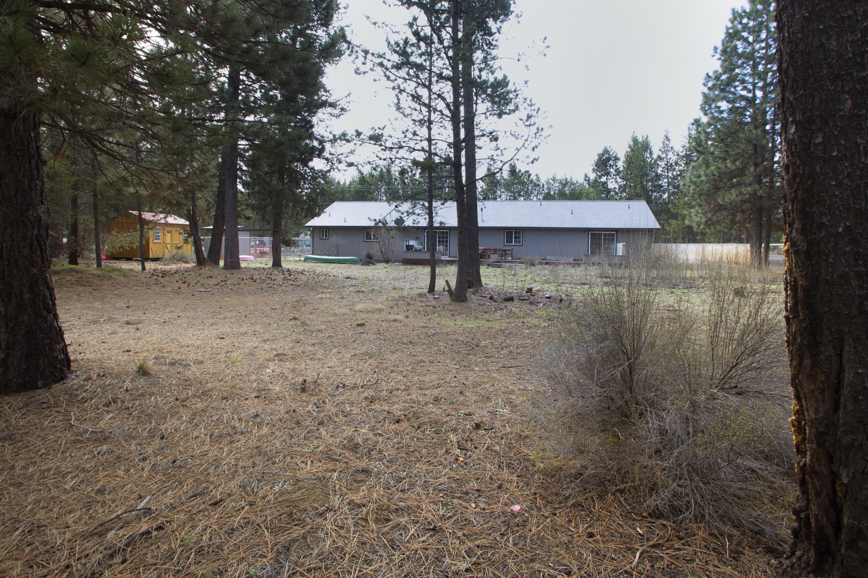 Tall Pines - Residential