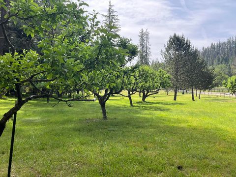 Tiny photo for 6900 Crowfoot Road, Trail, OR 97541 (MLS # 220221191)