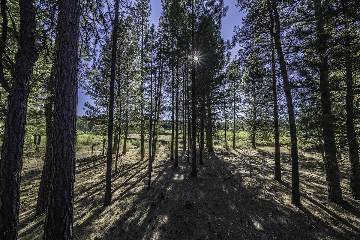 Sprague River Pines - Residential