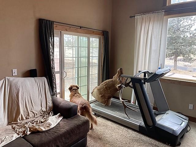 Squaw Creek Canyon - Residential