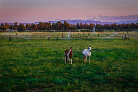 Tiny photo for 25271 Alfalfa Market Road, Bend, OR 97701 (MLS # 220216882)