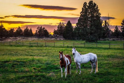 Tiny photo for 25271 Alfalfa Market Road, Bend, OR 97701 (MLS # 220216882)