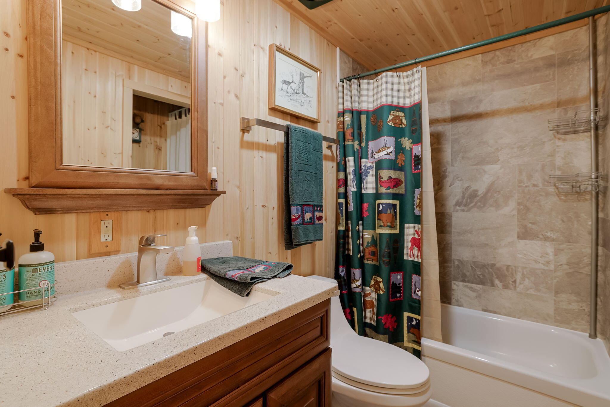 Conifer Acres - Residential