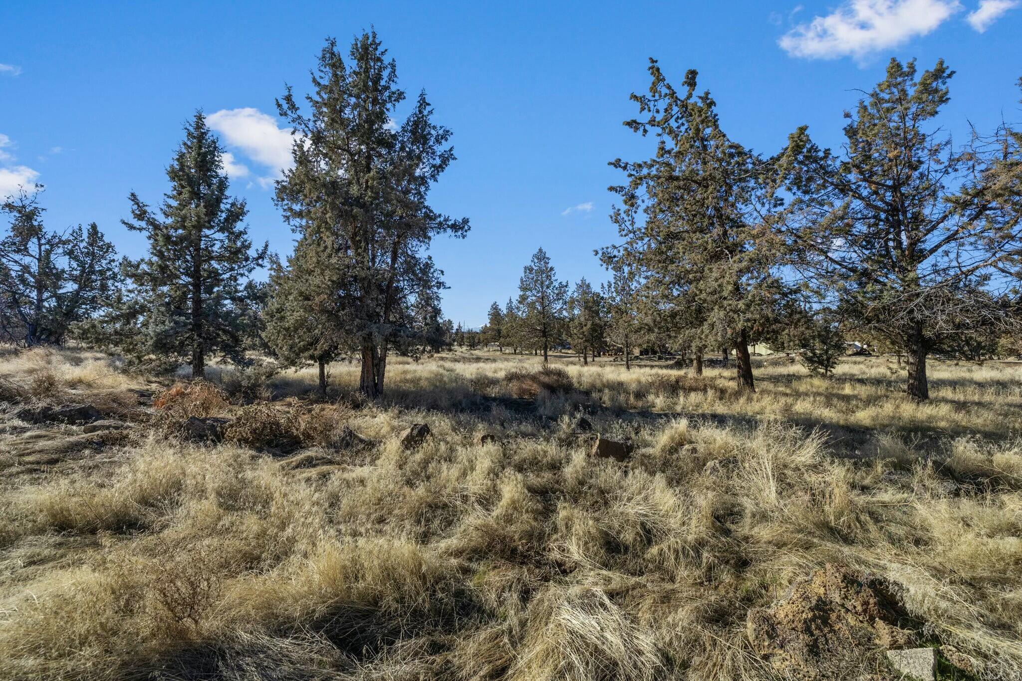 Lake Park Estate - Residential