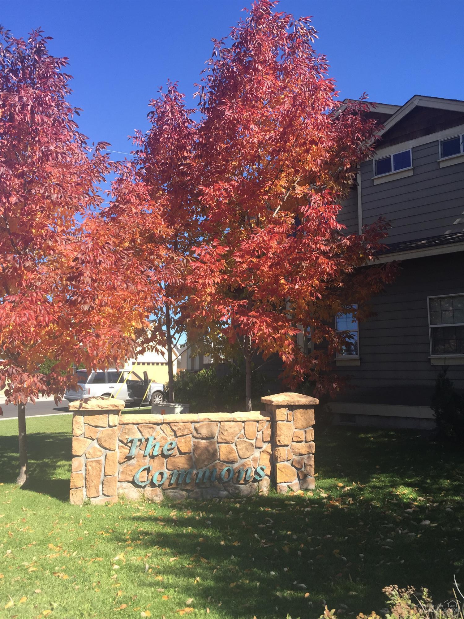 Forrest Commons - Residential