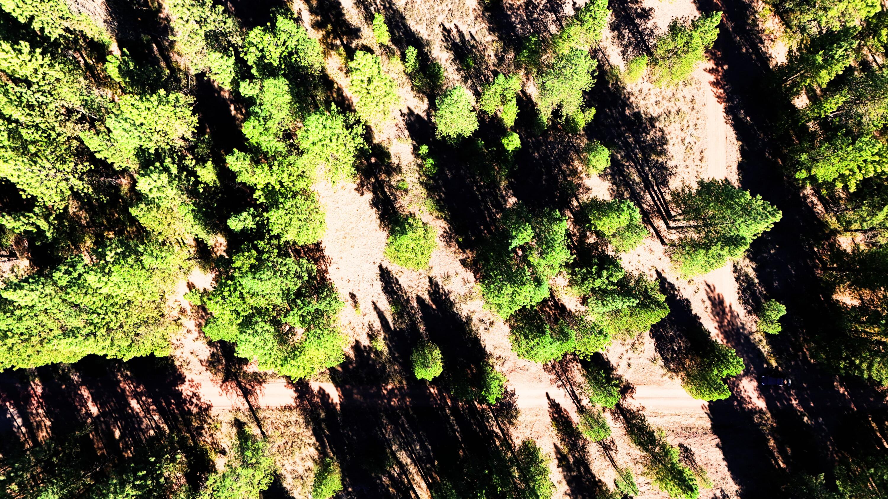 Mountain Lakes Homesites - Land