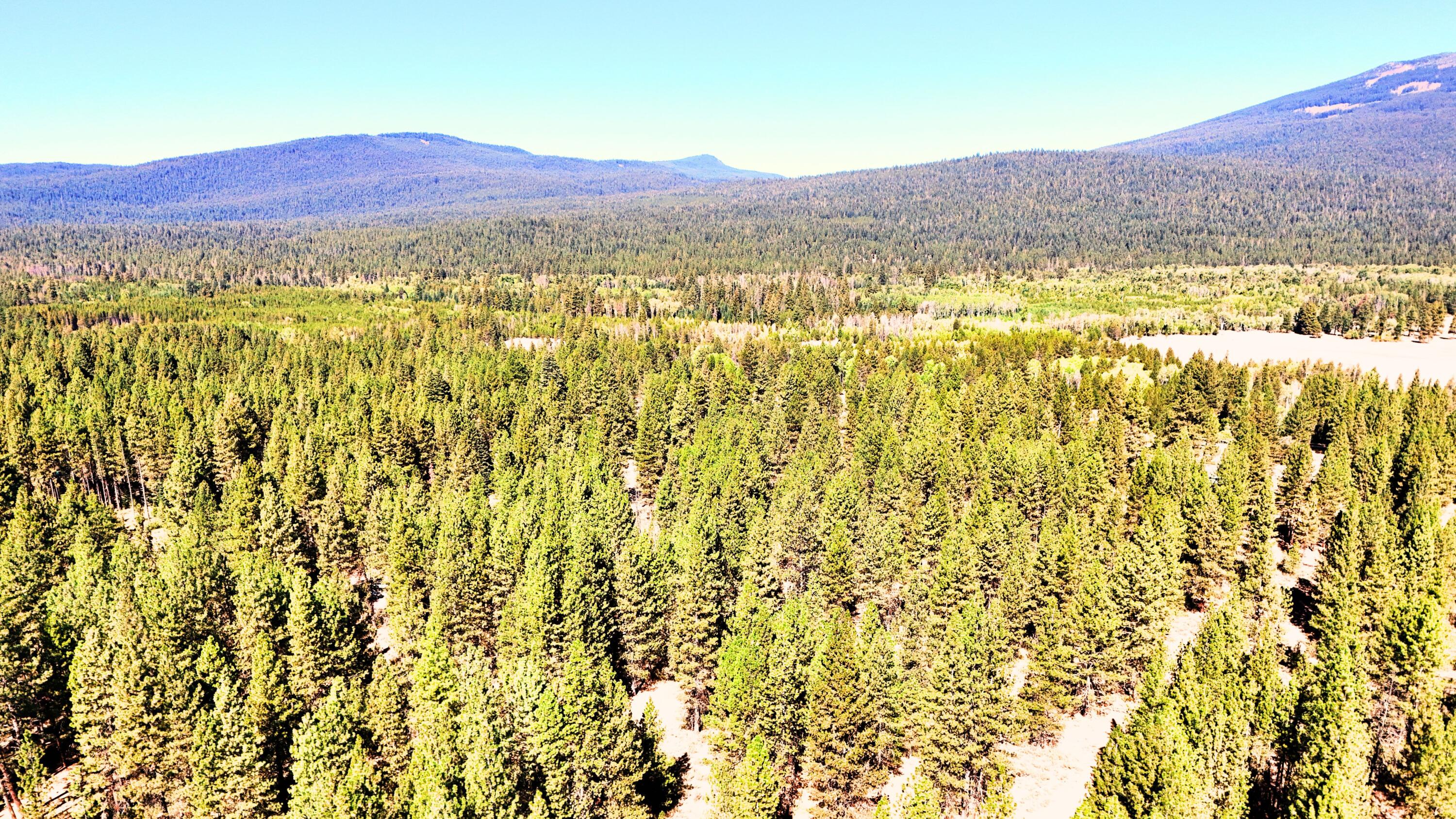 Mountain Lakes Homesites - Land