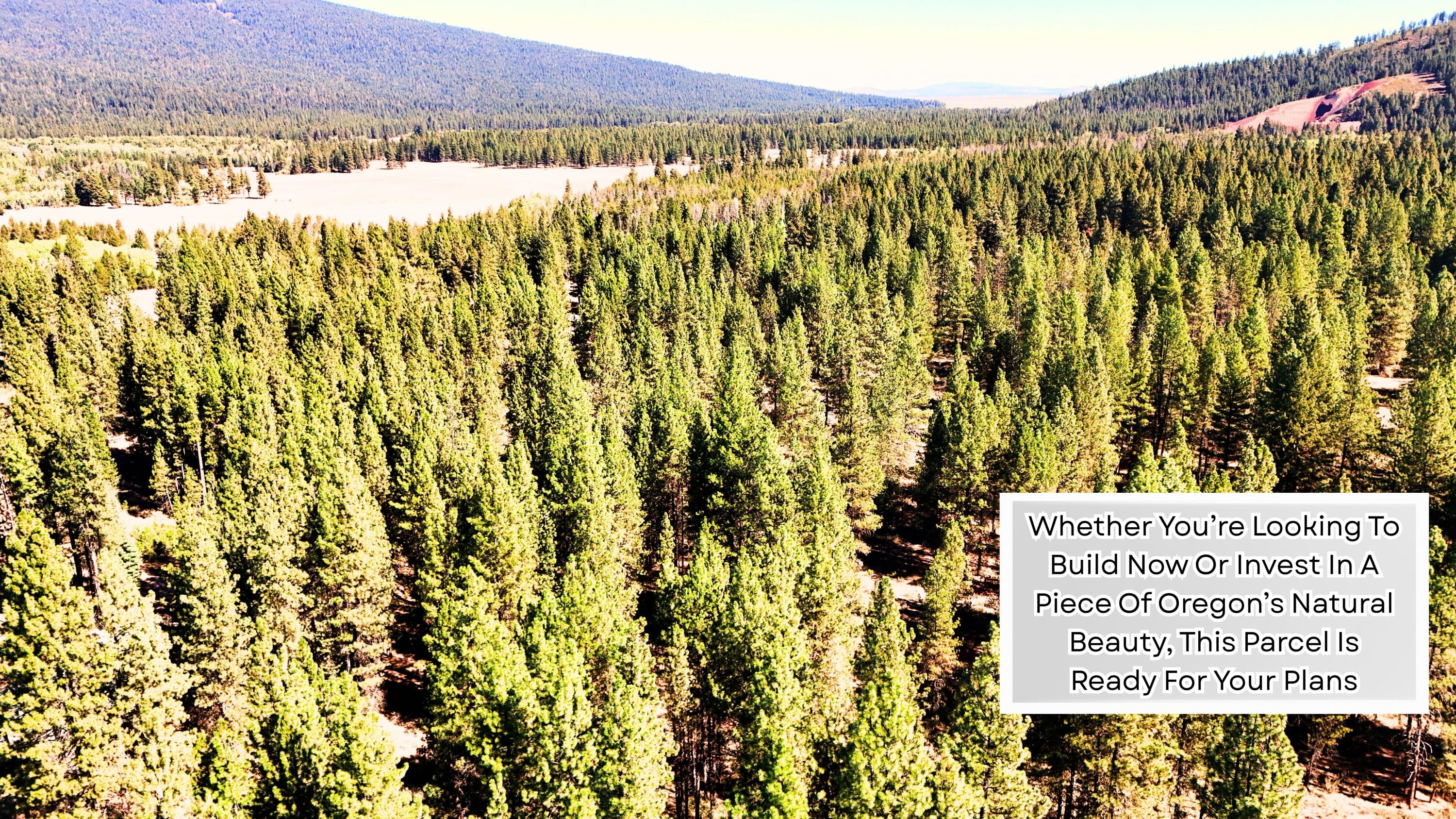 Mountain Lakes Homesites - Land