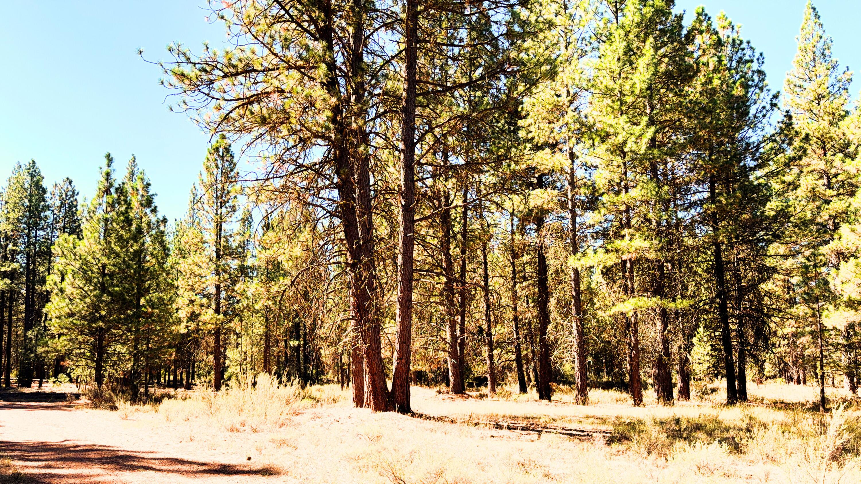 Mountain Lakes Homesites - Land