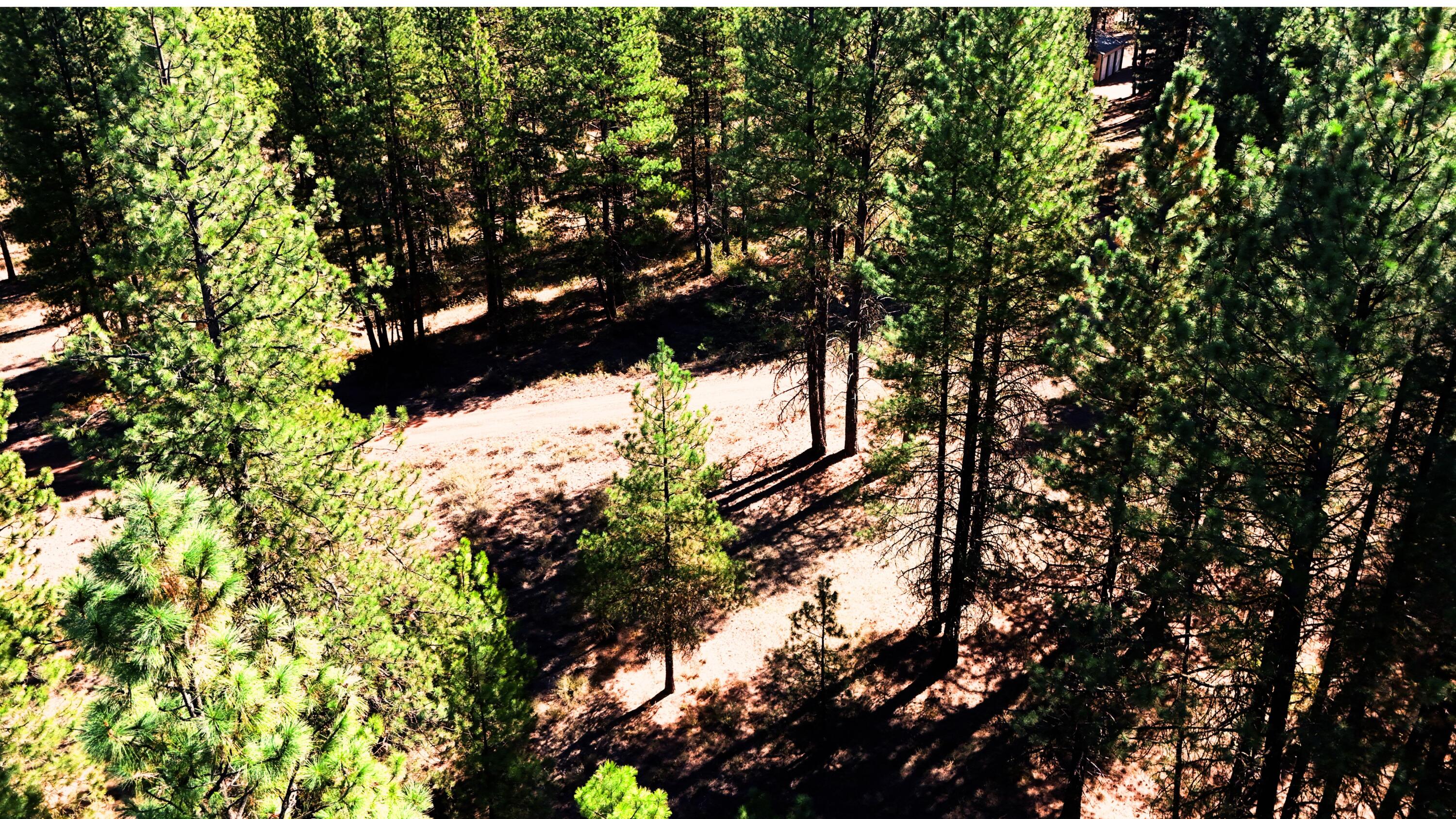 Mountain Lakes Homesites - Land