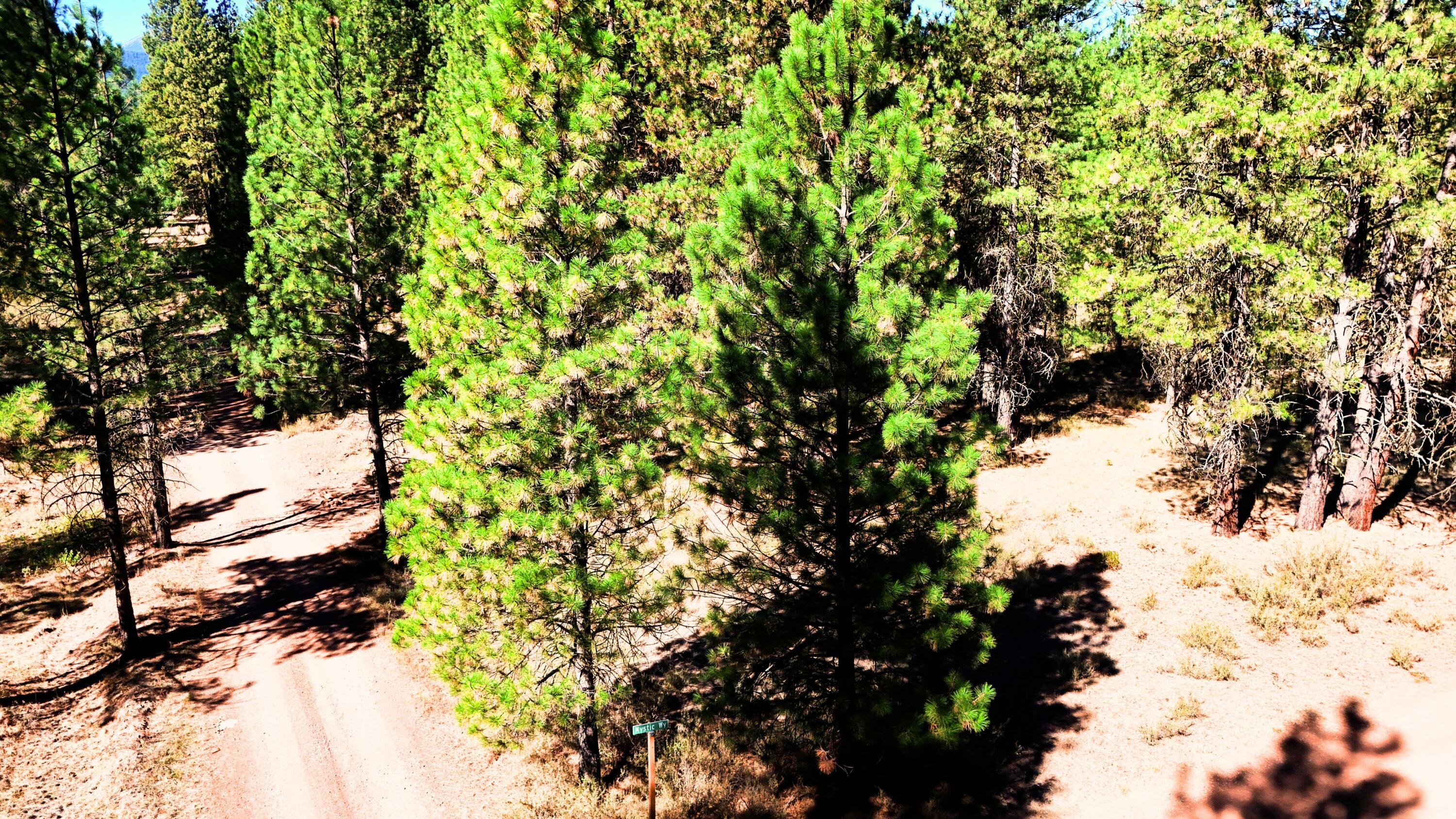 Mountain Lakes Homesites - Land