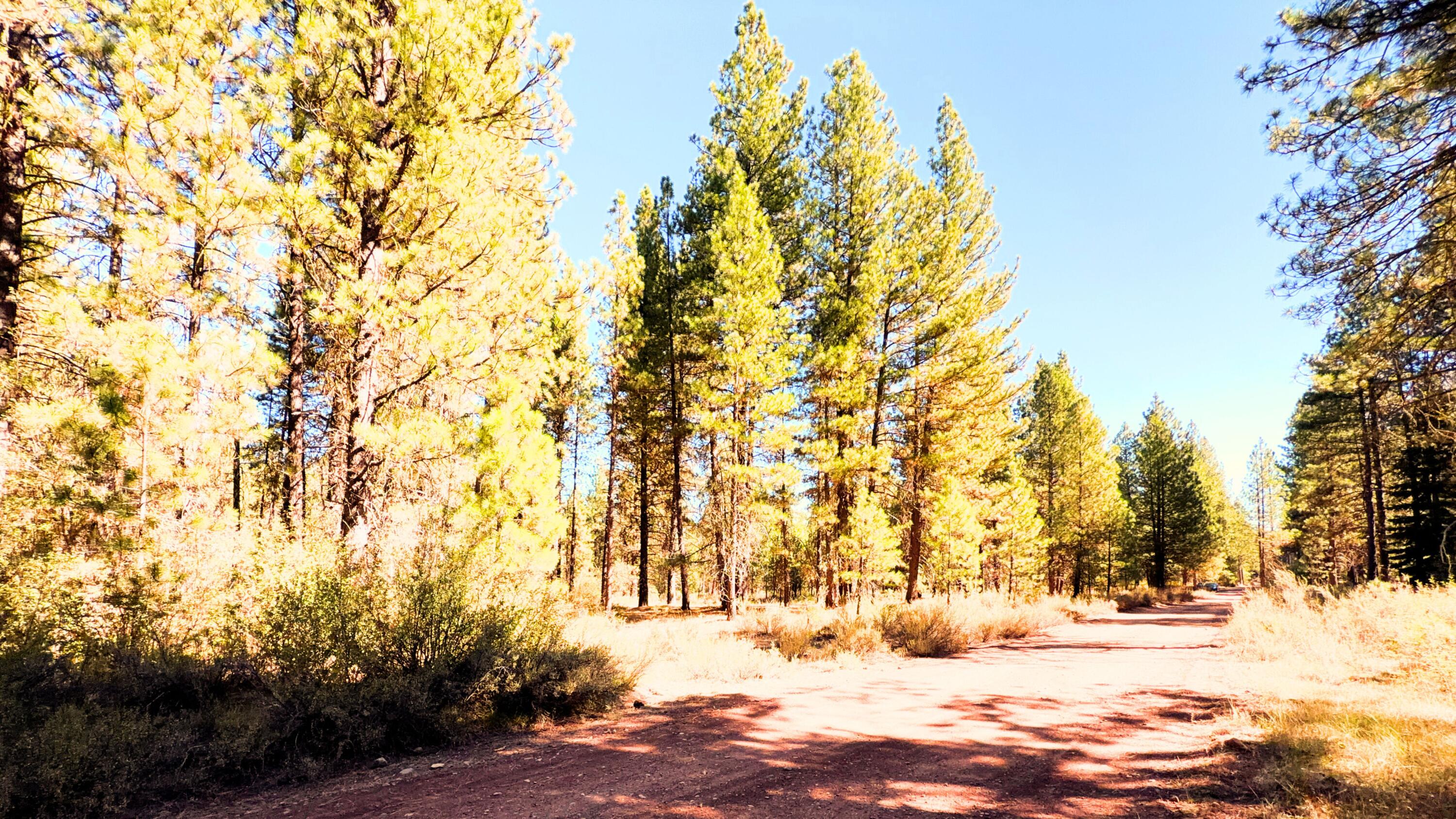 Mountain Lakes Homesites - Land