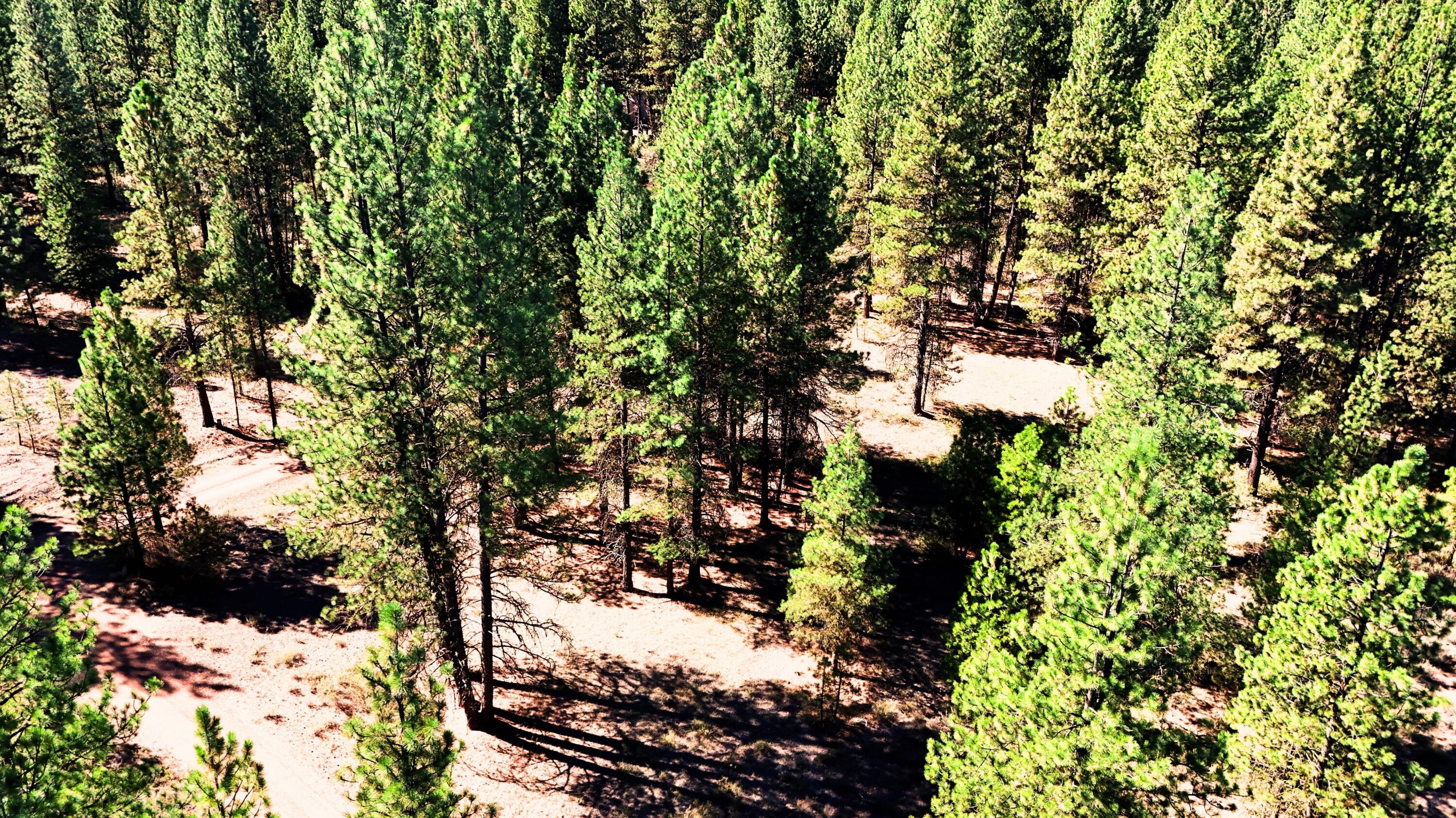 Mountain Lakes Homesites - Land