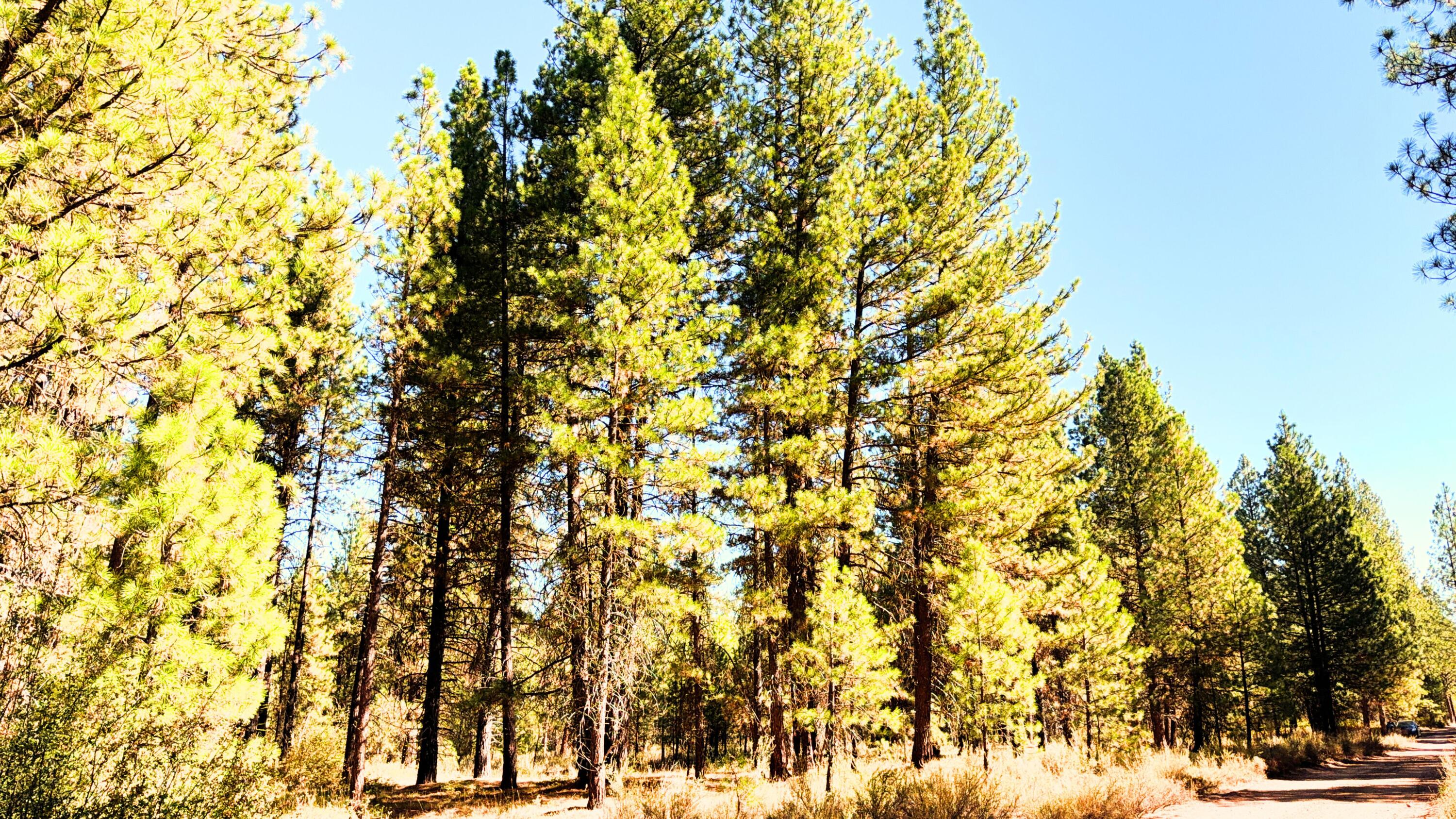 Mountain Lakes Homesites - Land