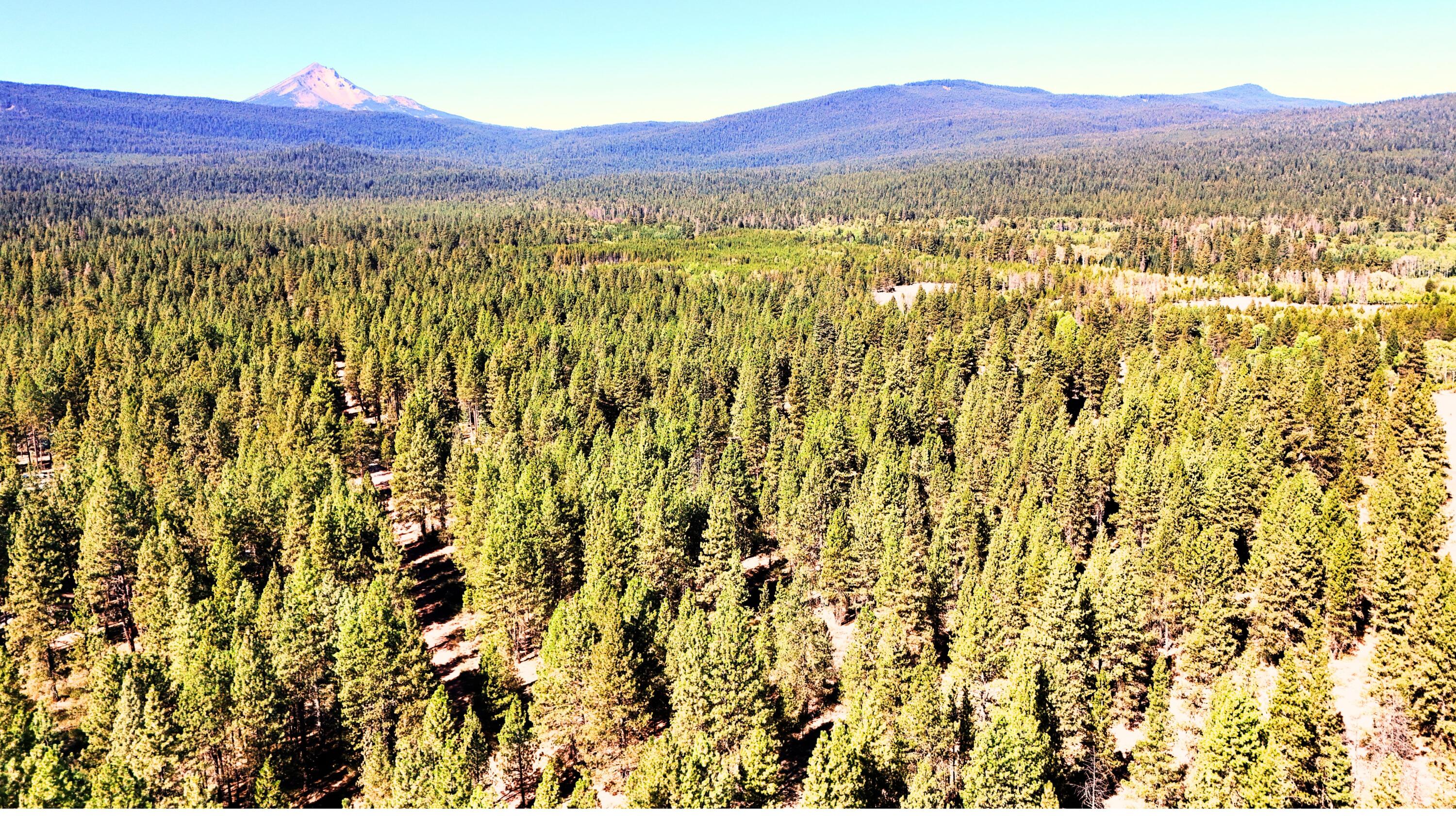 Mountain Lakes Homesites - Land