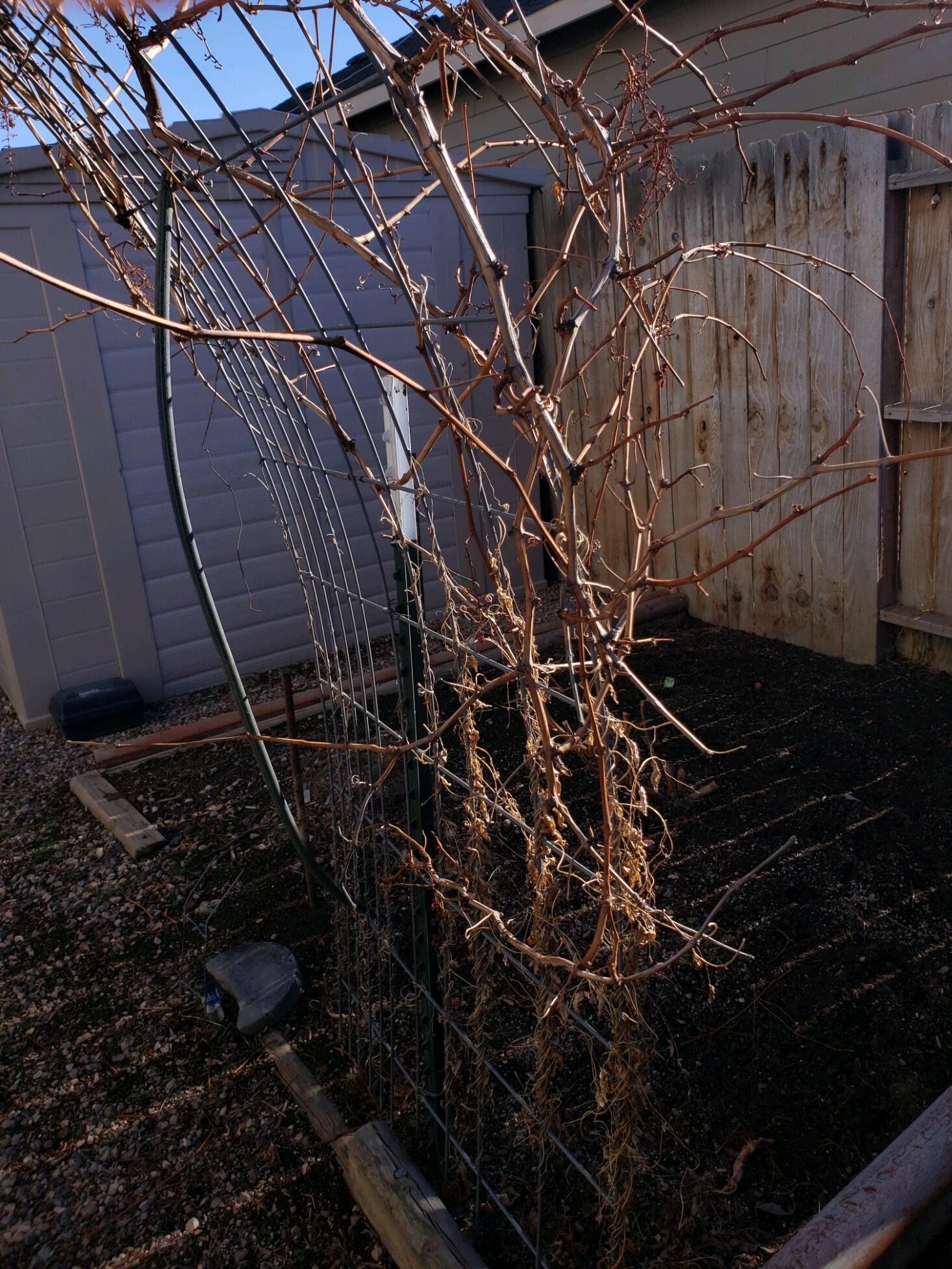 Echo Rim Estates - Residential