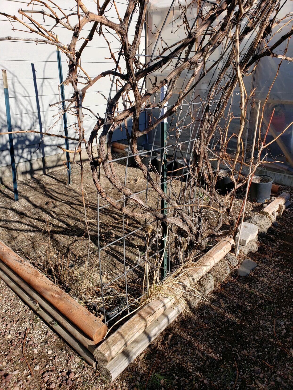 Echo Rim Estates - Residential