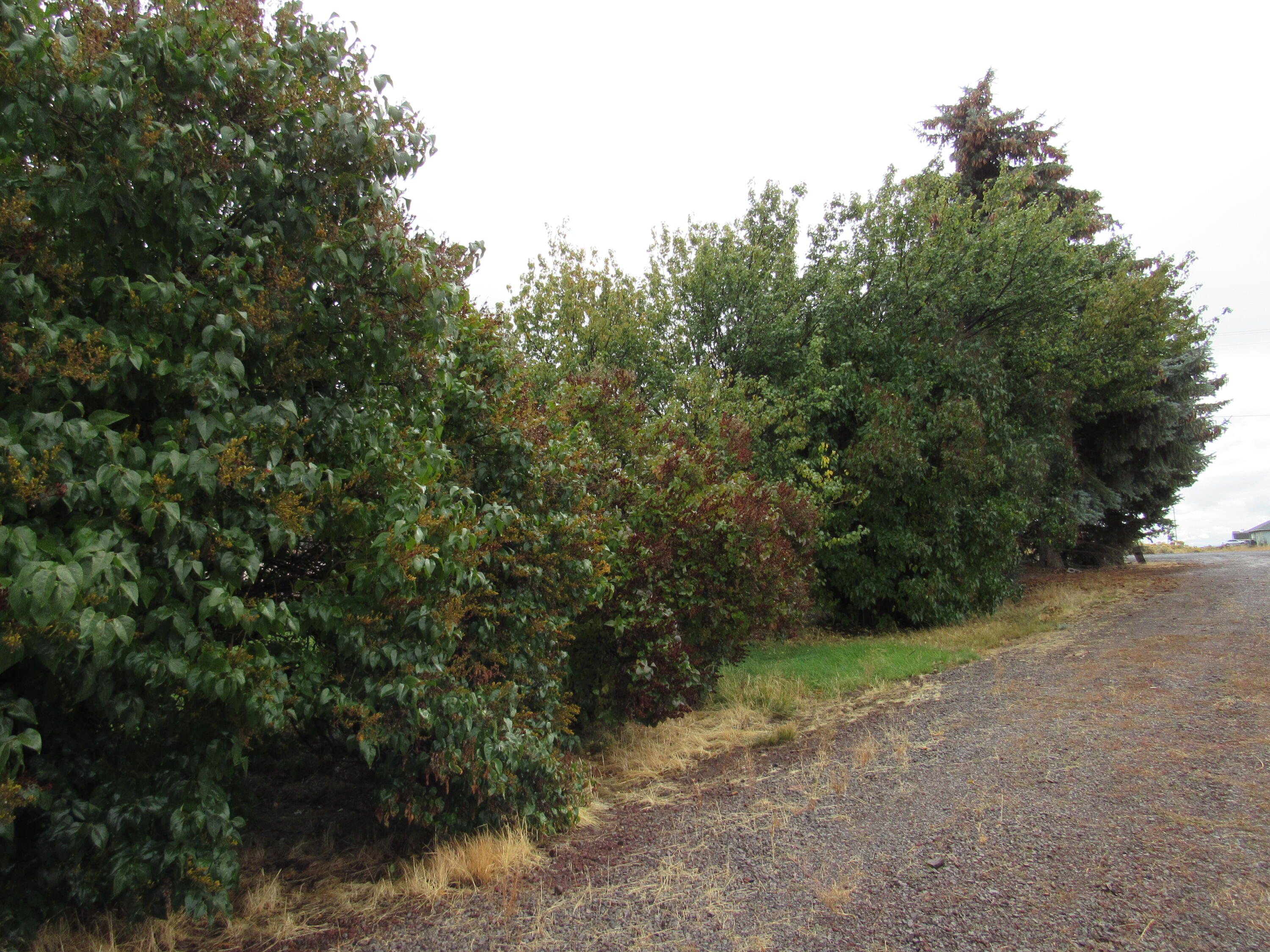 Oregon Shores -Unit 2 - Residential