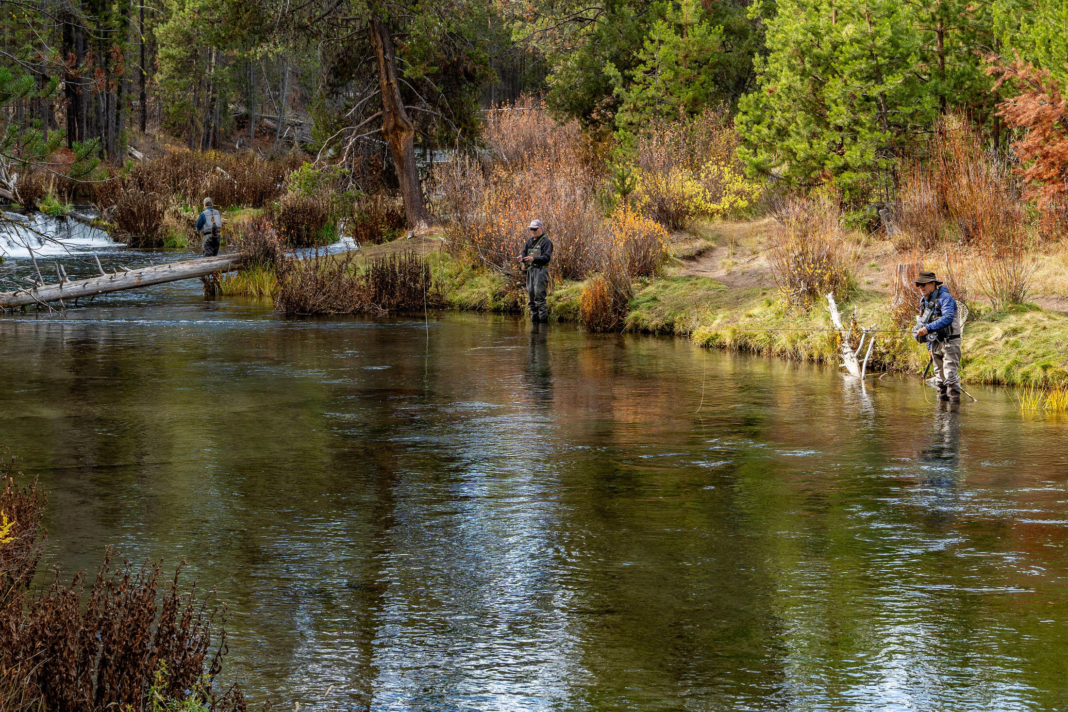 15003 E River Loop Drive E