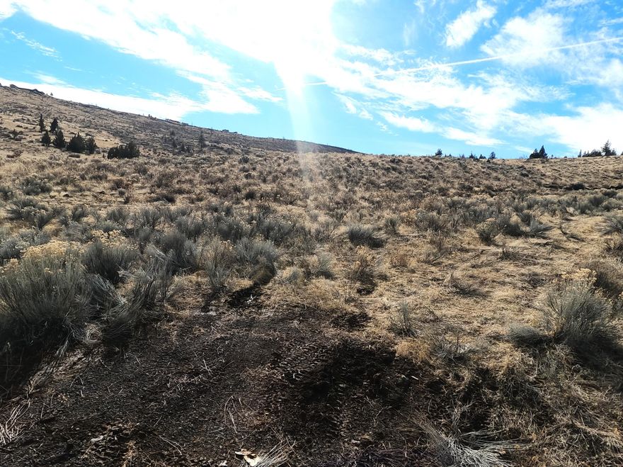 Rare opportunity for new properties in 3 Rivers with access to Lake Billy Chinook. Only 9 total, buildable lots that will not last long. Some have lake and mountain views while other have mountain and territorial views but all have panoramic views! 3 Rivers is a gated community so you must make arrangements for access and the properties are being shown BY APPOINTMENT ONLY! Lot is approved for building under TRRAR zoning. Property is totally Off-the-Grid. County has approved septic possibilities. Lots range from 3.26 acres to 5 acres each. This development that is within 3 Rivers has additional CC&R's. Call your favorite agent for make an appointment to view.  Property is part of Measure 37-49, buyer to have build completed by 4/1/2032. Buyer to do their own ''due diligence''