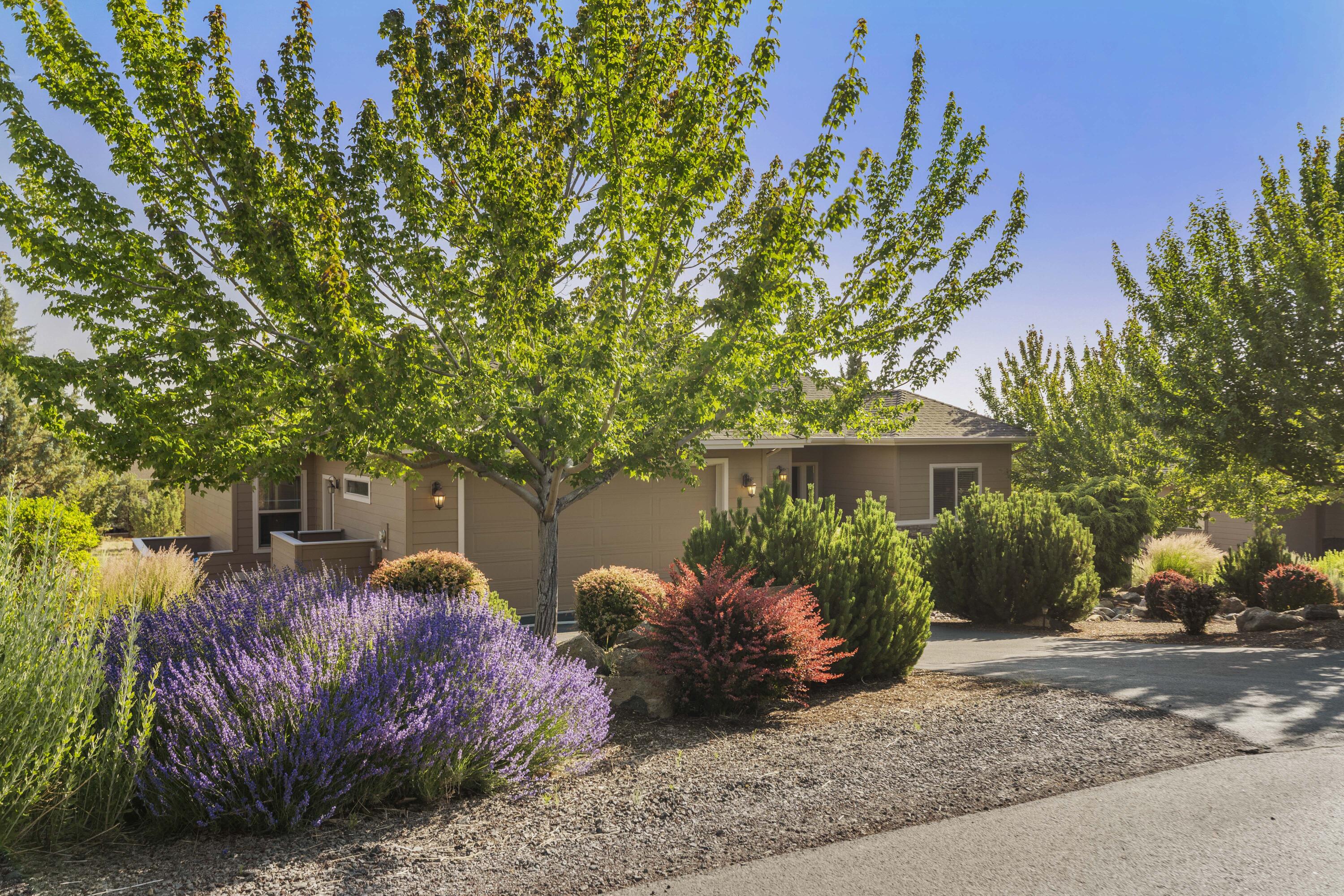 10192 Sundance Ridge Loop