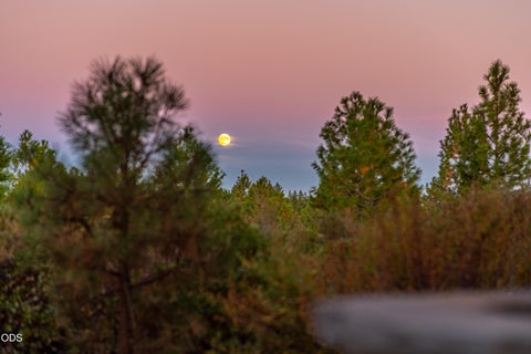 Tiny photo for 19374 Bonney Lane, Bend, OR 97702 (MLS # 220225838)