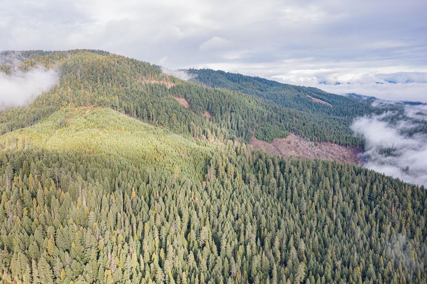 Just outside the town of Prospect, this unique offering features just over 100 acres that has been historically managed as timberland. Comprised of two tax lots, roughly 60 acres are planted in healthy 19-year-old Douglas-fir, providing strong future harvest and income potential. Access is via a well-maintained, graveled Forest Service road, offering both convenience and a sense of seclusion.

The properties are completely surrounded by National Forest, providing exceptional privacy and direct access to vast public lands. Lost Creek Lake and the Rogue River are only minutes away, adding nearby opportunities for boating, fishing, and recreation. Wildlife is abundant—deer, elk, and bear frequent the area—making it ideal for hunting, camping, hiking, or creating a private getaway. A standout opportunity for those seeking both recreational enjoyment and long-term investment value in Southern Oregon. Buyers responsible for conducting all due diligence into intended uses of the land.