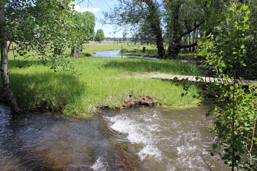 HISTORIC Bridge Creek Buffalo Ranch. 1187 fenced acres in Silver Lake, Oregon with Bridge Creek meandering through groves of Aspen trees and Willows to irrigate 142 acres of Buffalo fenced and cross fenced native grass meadows. Excellent pole corrals, pens, chutes and barn yard for ease of handling the BIG guys. The creek creates a sanctuary for the Red Band Trout attracted to huge Mayfly and other hatches. Abundant wildlife includes resident Mule deer, migrations of Roosevelt elk and antelope, birds of prey, variety of cranes, & waterfowl. Excellent hunting opportunities on both the ranch and the vast adjacent BLM lands that include Thomas Reservoir. Unique historic buildings include a classic wood livestock/hay barn. Home is a very nice 1040 sq ft, 2 bdr/2 bth home with deck opening to grassy lawn, & fire circle, creek, & Aspen groves.