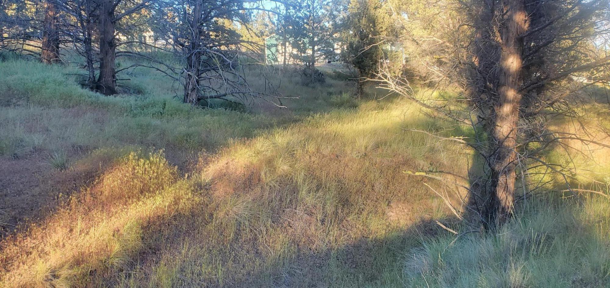 Golden Horseshoe - Land